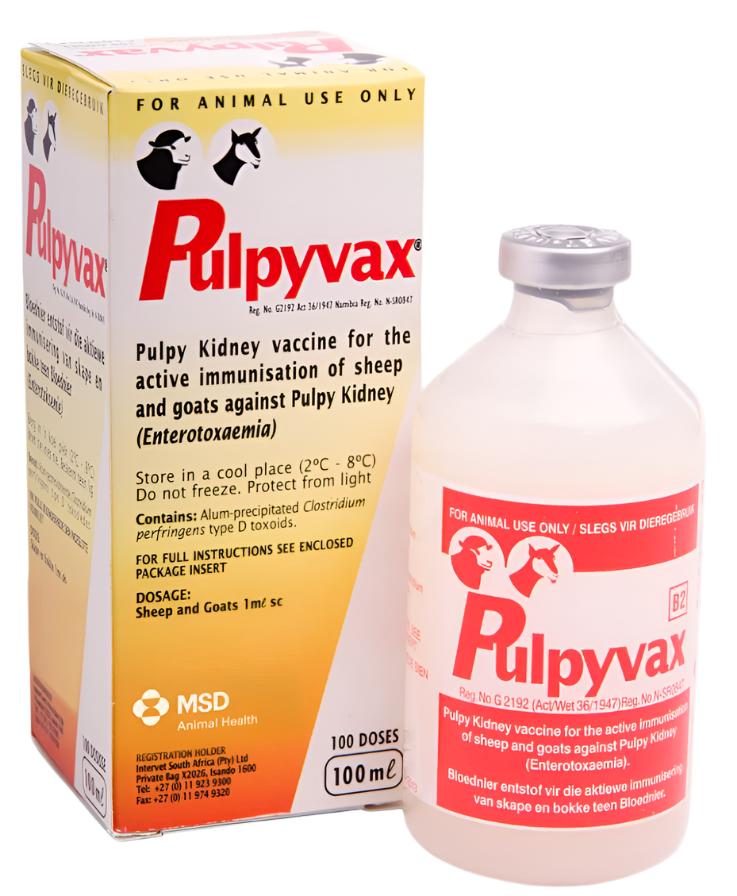 VAC PULPYVAX 100ML MSD