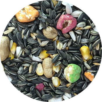 Goldwing Feed Parrot MIX 5kg