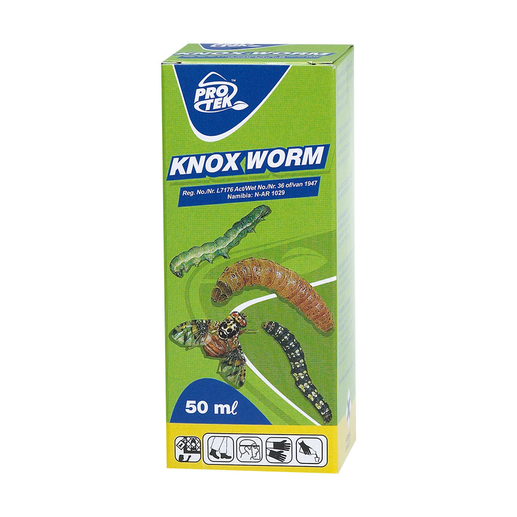 Protek Knox Worm 50ml