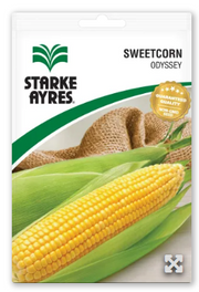 SEED VEG POLYPACK SWEETCORN - ODESSY
