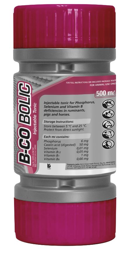 Kyron VIT B-co Bolic 500ml