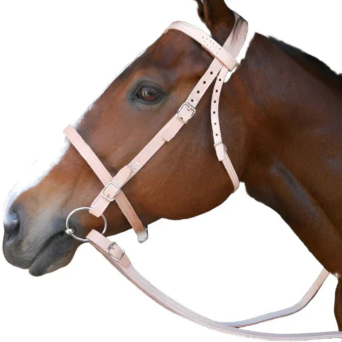 Solo Bridle Farm (no Bit)