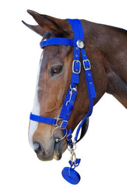 Solo Bridle Endurance