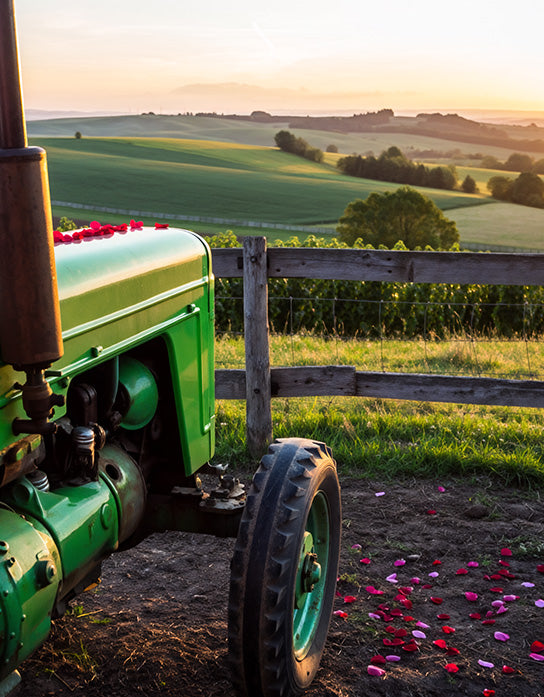 Move | The Future of Online Shopping