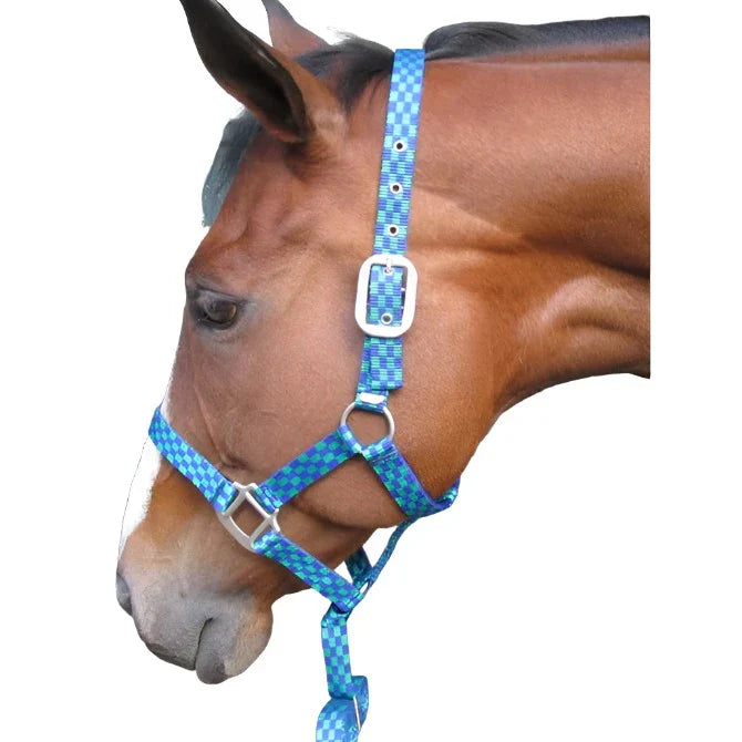 Solo Halter Everst & Clip M
