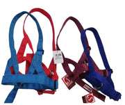 Solo Halter Foal Baby Non Slip Nylon