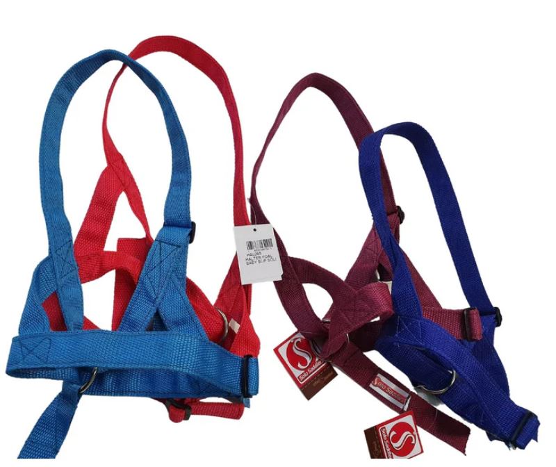 Solo Halter Foal Baby Non Slip Nylon