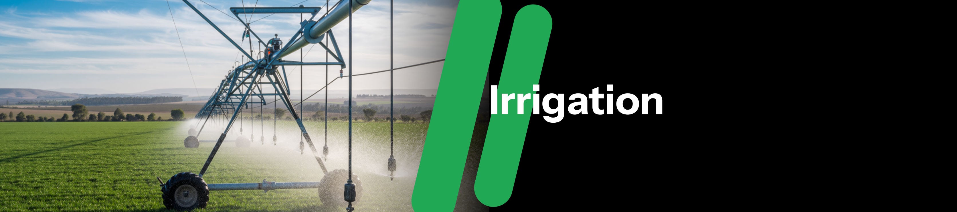 Move | The Future of Online Shopping