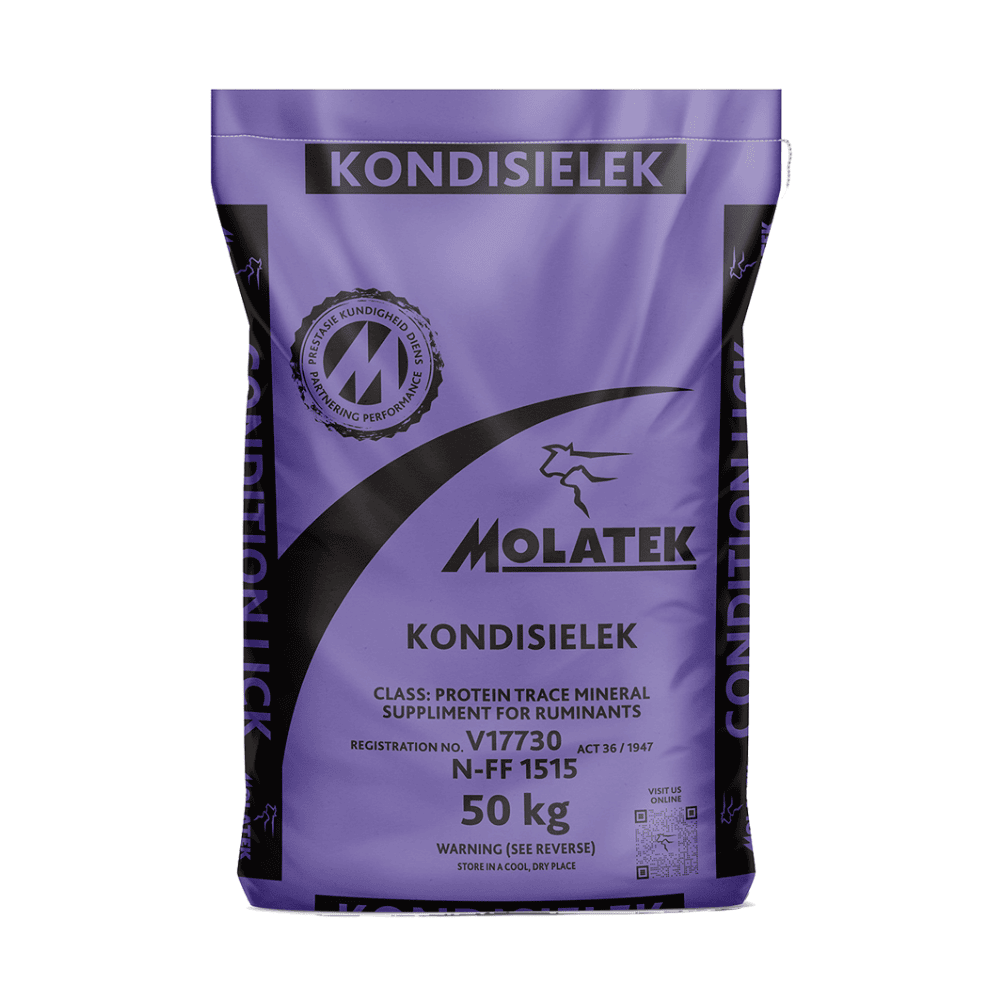 Molatek Kondisielek 50kg