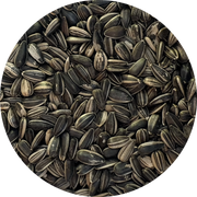Goldwing Feed Sunflower Striped Seed 5kg Goldw