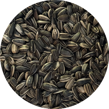 Goldwing Feed Sunflower Striped Seed 5kg Goldw