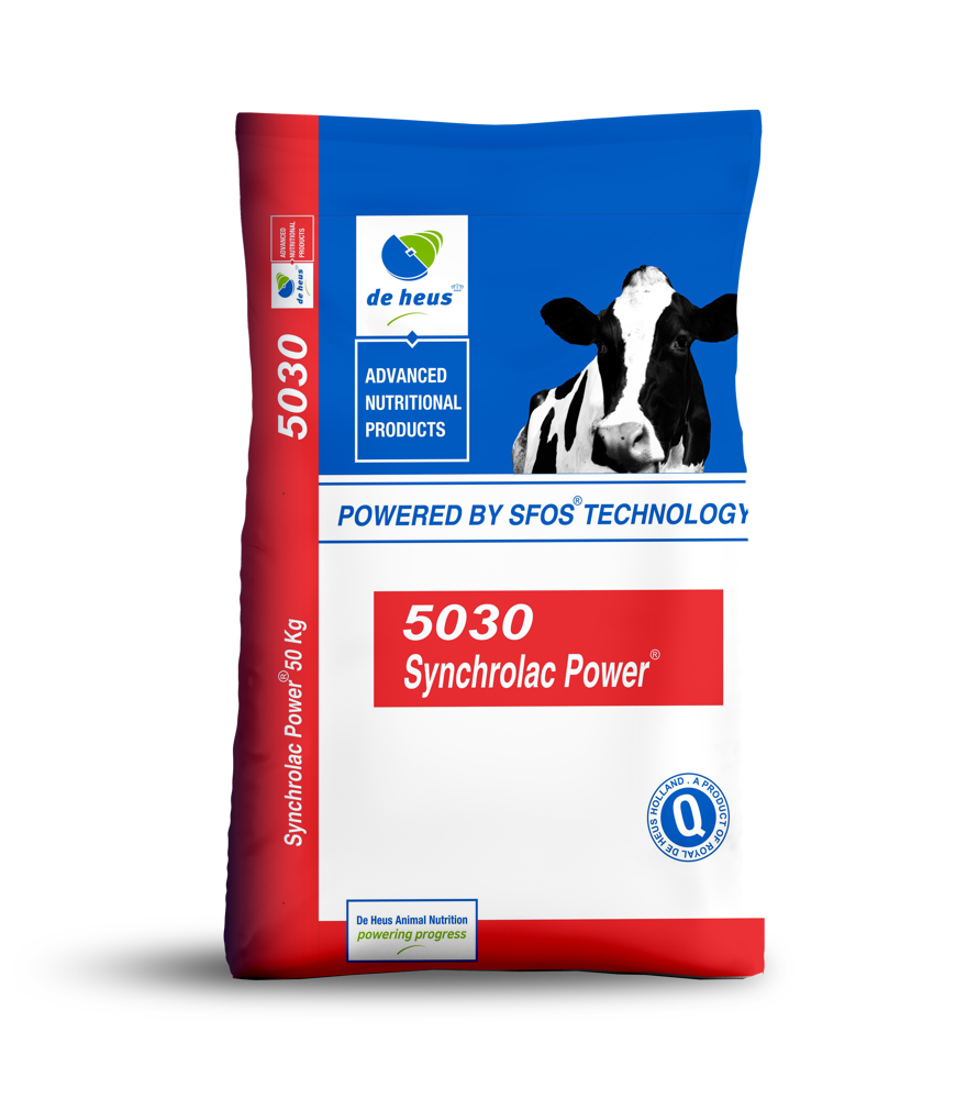 SYNCHROLAC DAIRY 21% PELLETS 50KG DE HEU