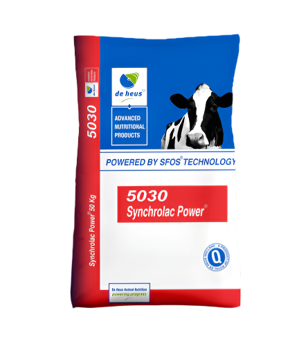 SYNCHROLAC DAIRY 21% MEAL 50KG DE HEUS