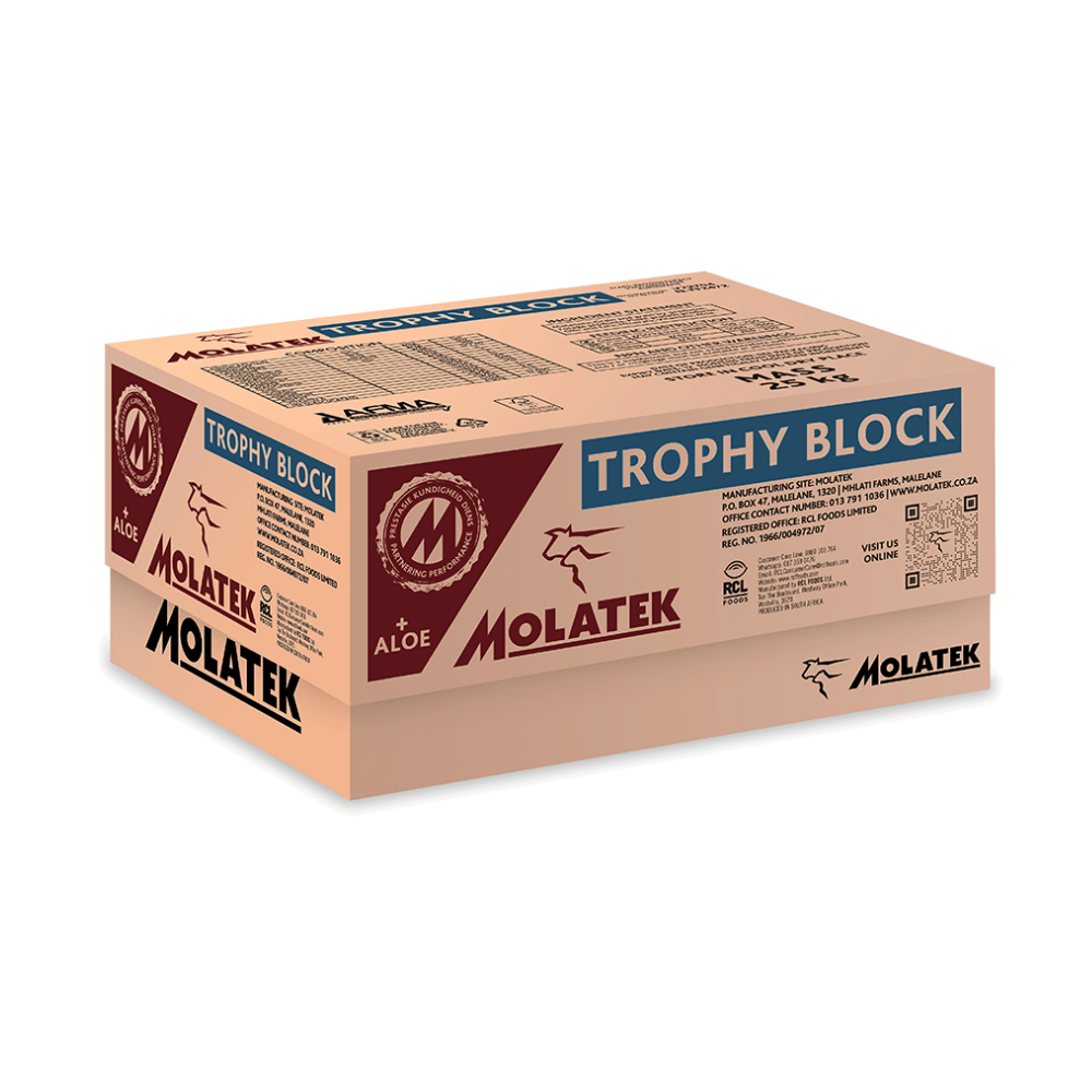 Molatek Trophy Block 25kg