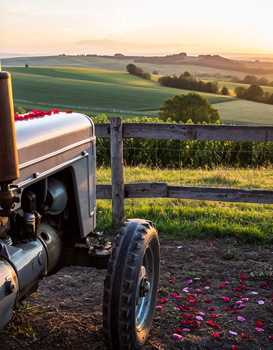 Move | The Future of Online Shopping