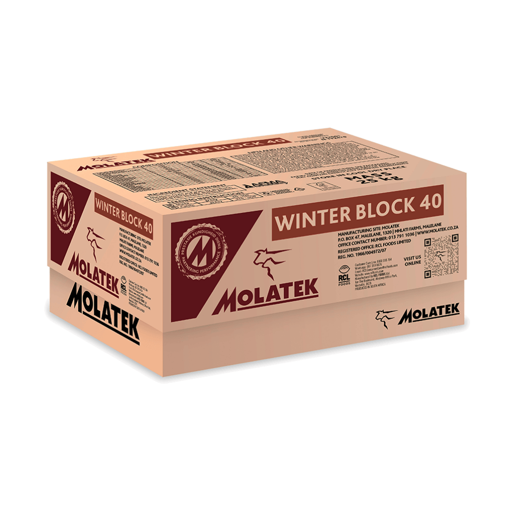 WINTER BLOCK 40 25KG MOLATEK