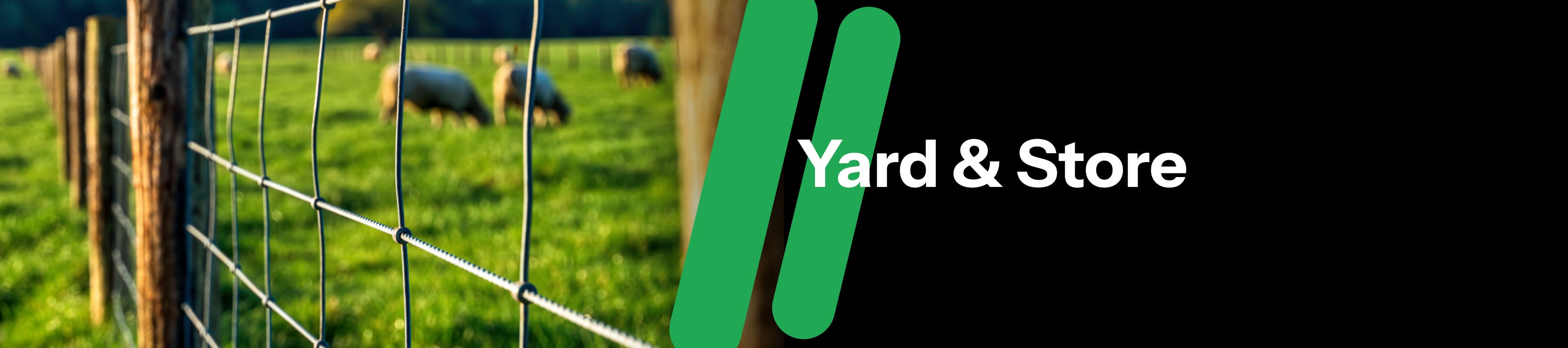 Move | The Future of Online Shopping